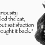 curiosity-killed-the-cat-full-quote_1757783868