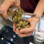 Emerging Consumer Patterns and Market Statistics for Buying Cannabis Online in Canada
