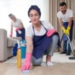 Cleaning Services: What Do Professional Home Cleaning Statistics Reveal About Better Household Care?
