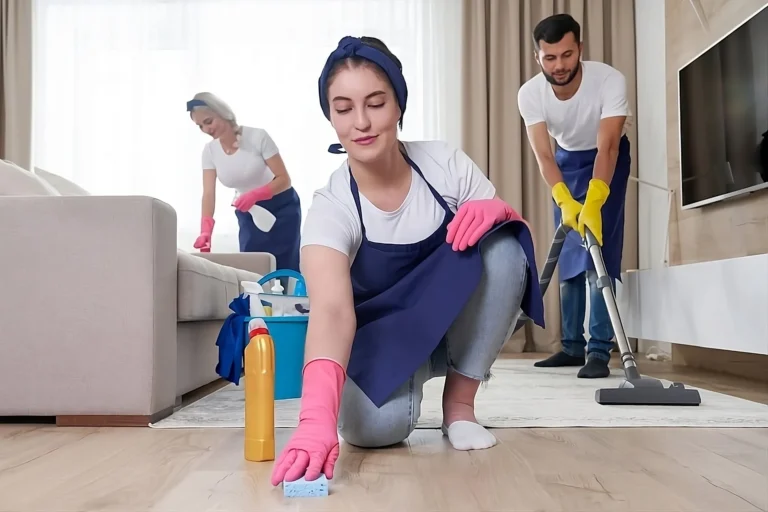 Cleaning Services: What Do Professional Home Cleaning Statistics Reveal About Better Household Care?